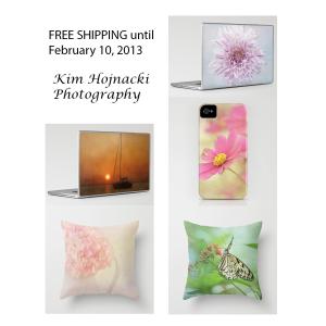 Free Shipping for Laptop Skins, Pillows, Iphone Cases